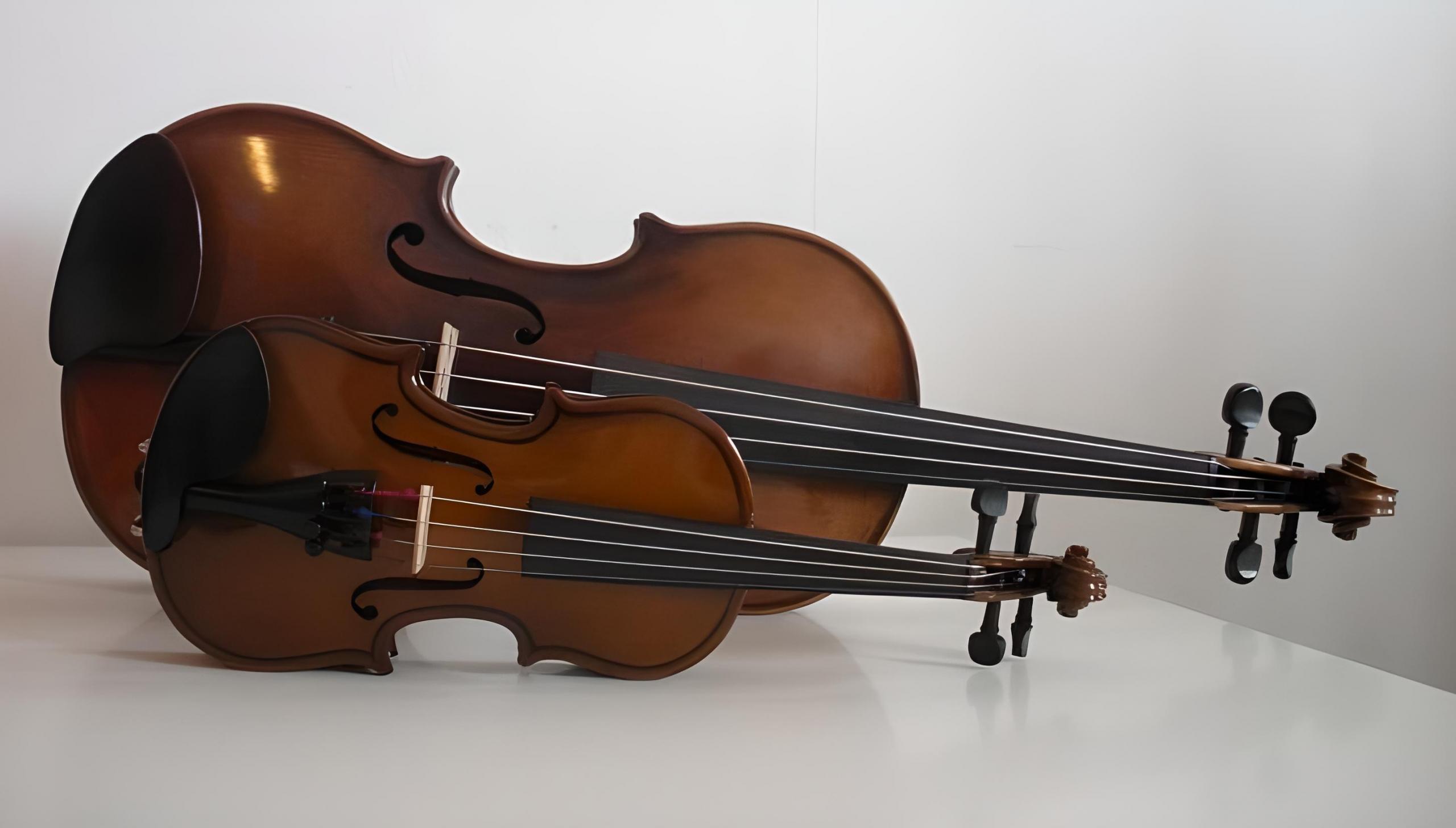 Cara Memilih Ukuran Biola Yang Tepat Superprof